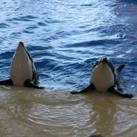 Suomen kauneimmat kirkot