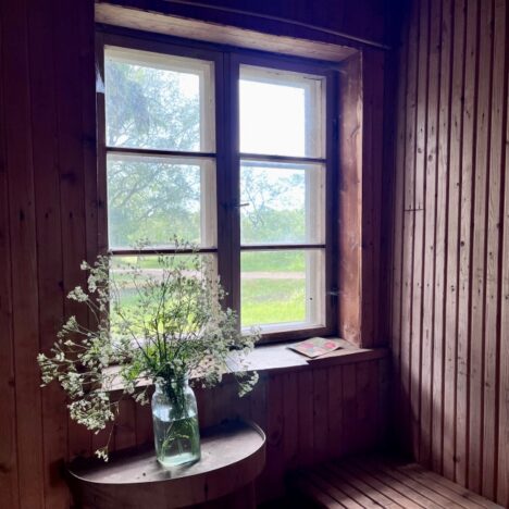 Pyhärannan Santtio esittää: Liian paksu perhoseksi