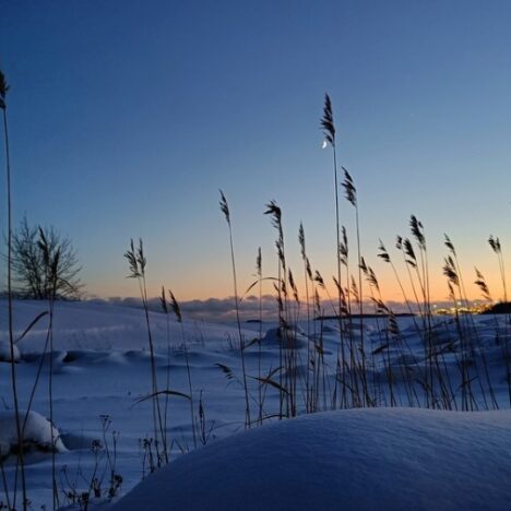 Hildur – Islannin mysteeri herää eloon Arena-näyttämöllä