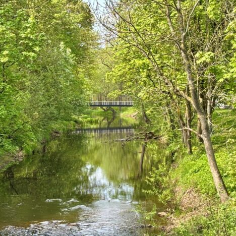Narvan Kreenholm – kaupunki kaupungin sisällä