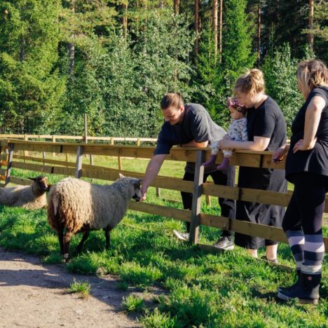 Filitosa – kivikasvoja Korsikan esihistoriasta